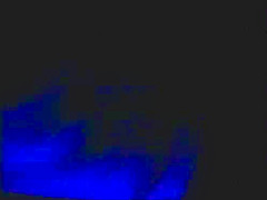 Blondies Favorite Fist