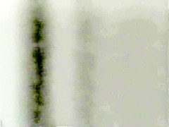 Classic Stags 7 40s to 70s – Scene 2