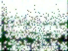 DBM – Family Blue 19