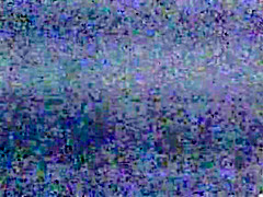 Perverse Connections